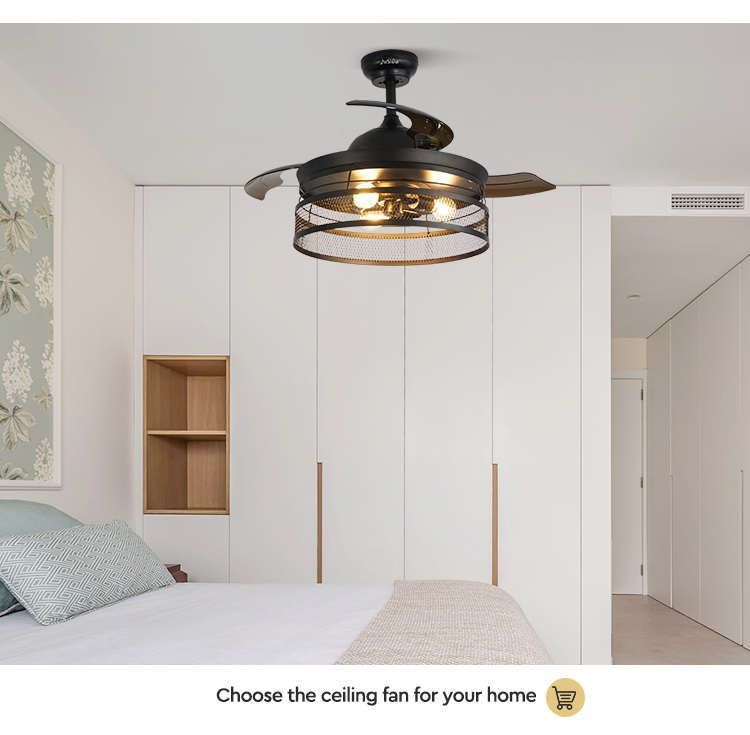 Invisible ceiling fan