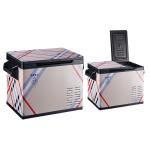 55GB Outdoor Car Refrigerator 12V Car Fridges With Compressor Camping Fridge