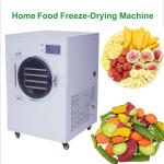 Lyophilizer Food Machine Freeze Dried Fruit And Vegetable Liofilizador