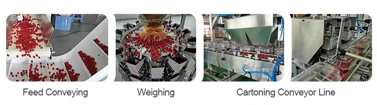 Fresh Fruit Packing Automatic Multihead Weigher Granule Little Tomato Filling Machine