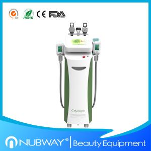 Quality Best result low price multifunctional cryolipolysis slimming machine for weight loss wholesale