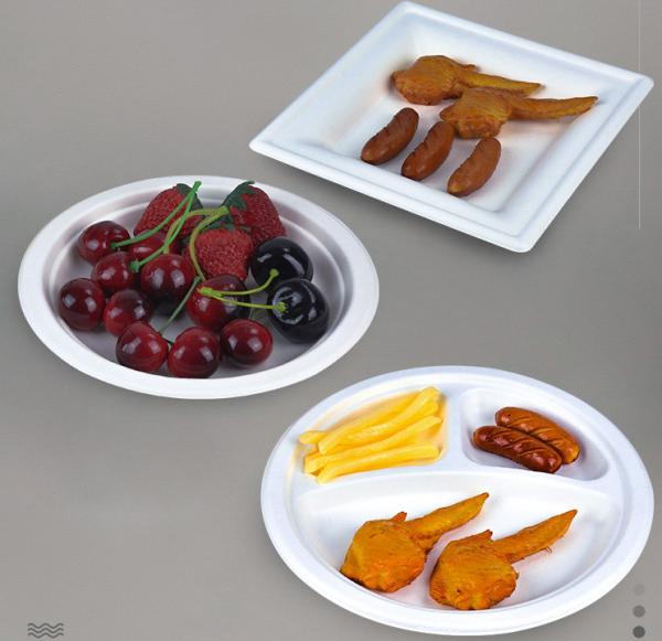 Made of Natural Sugarcane Fibers Eco Friendly Fully Biodegradable Disposable