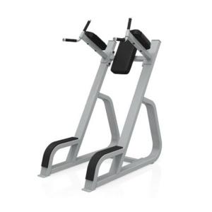 Quality Online Bodybuilding 1240*720*1600mm Leg Raise Machine wholesale
