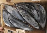 A Grade Healthy Frozen Skipjack Tuna For Restaurant