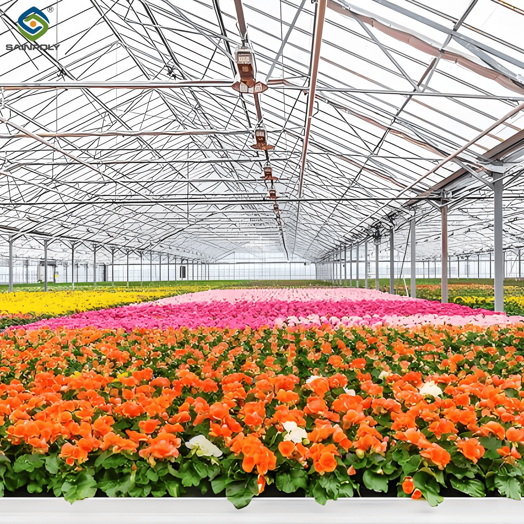 Easy Assembly Glass Type Flower Greenhouses With Hydroponic Growing System