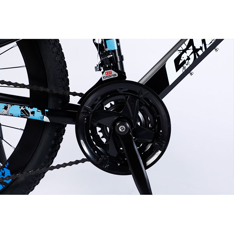 Affordable Mountain Bicycle with Sus Fokr Cp Crown and Tongli Michanical Disc Brake