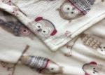 Lovely Rotary Printing Children Flannel Blanket , Owl Printed Flannel Bed