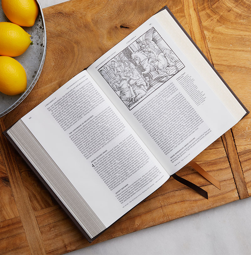 Illustrated Catholic Bible - Catholic Bible Press Catholic Bible Press
