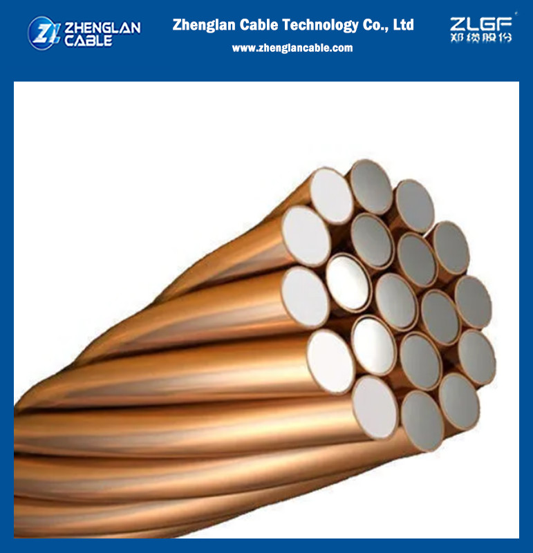 Customized Size Copper Weld Ccs Wire Earth Ground Wire Clad Steel Grade AAA 4.0mm Copper Clad Steel Wire CCS Wire