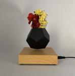 360 rotating little star magnetic levitation Suspension air bonsai vase plant