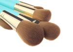 Blue Wooden Handle Professional Makeup Brush Set With Gold Aluminum