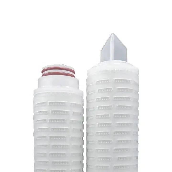 10" 0.22um PES Pleated Membrane Filter Cartridge for Superior Filtration Performance