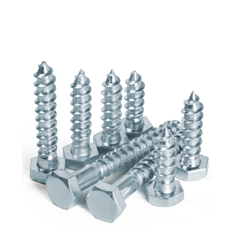 Hex Head Wood Screw Din571 Lag Bolt Coach Screw for Steel/SUS304 within Fasteners