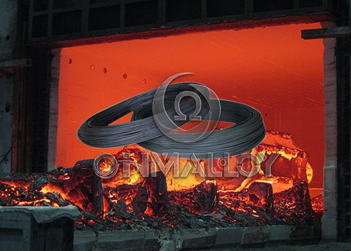 19 - Strands Nickel Cold Tail Lead Wire Ni 212 Pure Nickel Wire Anti - Oxidation