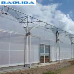 Long Life Span Heavy Duty Plastic Greenhouse High Large Size Available