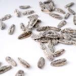 Amazon hot selling factory wholesale bulk and bag sea salt sunflower seeds