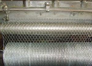 plant protection 25mm	BWG24 Hexagon Metal Mesh