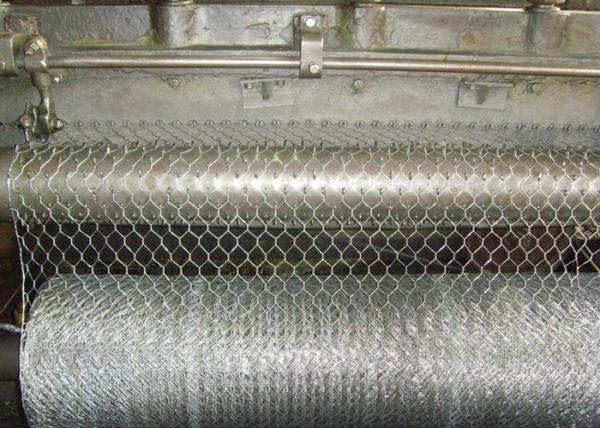 Cheap plant protection 25mm	BWG24 Hexagon Metal Mesh for sale