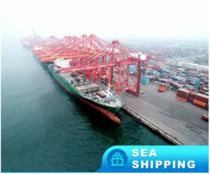 Quality Professional Cross Border Logistics wholesale