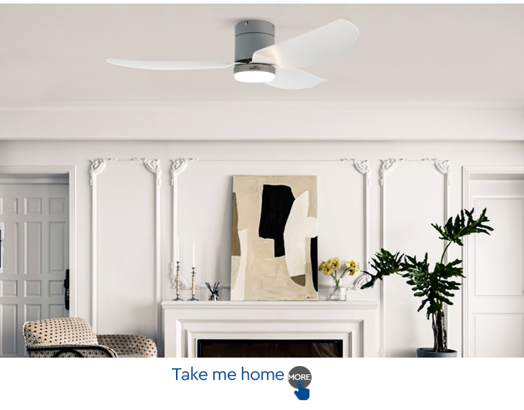 ceiling fan