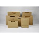 250g 300g Eco Friendly Paper Shopping Bag With Twised Handle