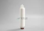 PTFE 0.22um Membrane Filter Cartridge Compressed Air Sterilization