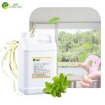 Luxury Mint Scent Home Car Fragrance Oil For Perfume Branded Air Freshener
