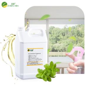 Quality Luxury Mint Scent Home Car Fragrance Oil For Perfume Branded Air Freshener Fragrance wholesale