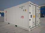 White Standard Freezer Shipping Containers , 20ft Reefer Shipping Container