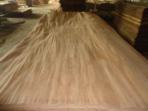 Quality Watergum face veneer wholesale