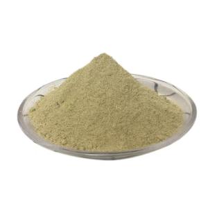 Quality Scallion Chicken Seasoning Powder Elevate Your Cooking Game wholesale