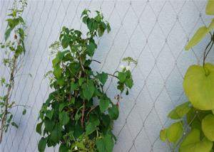 Quality Garden Trellis Plants 7x7 1.6mm Ferruled Climbing Netting wholesale