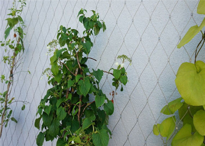 70x120mm Flexible Decorative Stainless Steel Wire Rope Mesh For Green Plant Climbing