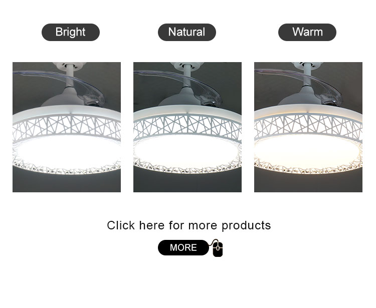 Home Decorative Ceiling Fan with Retractable Blades and Remote Control 42" Blade Size