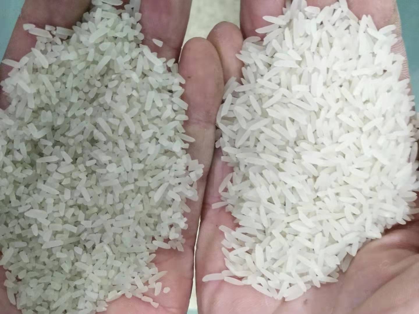 Top Performance CCD Japonica Rice Color Sorter Machine Popular in India