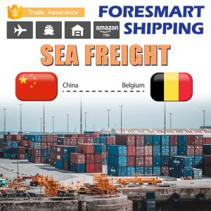 Quality 40HQ Shipping From China To Belgium FCL Sea Freight wholesale
