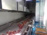 Movable Inclined Extendable Telescopic Endless Stainless Steel Goods Delivery