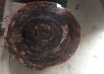Polished Brown Natural Semi Precious Stone Slabs Petrified Wood