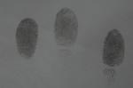 C099 Gray magnetic fingerprint powder