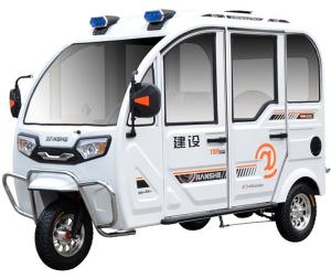 Quality Lithium Battery 800 Watt 480kg Electric Trikes For Adults wholesale