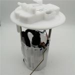 1489084080 F01RB00S0 Fuel Pump Assembly For Citroen Trium Sega Peugeot