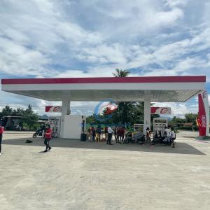 Quality Durable Custom Steel Canopy Metal Roof For Petrol Fuel Station wholesale