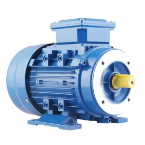 Quality 3 Phase Squirrel Cage Induction Motor 1hp 2 Hp 20 Hp 11kW B3 wholesale