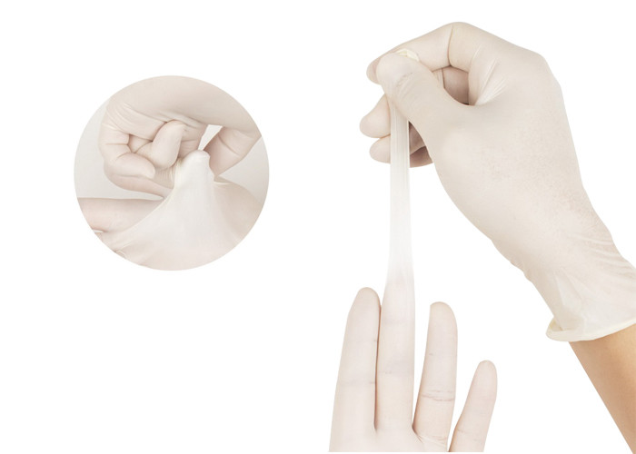Professional Disposable Protective Gloves Latex Examination Gloves Powder And Powder Free