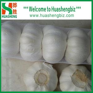 Quality Fresh Pure White Garlic wholesale