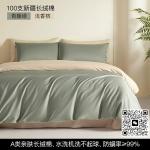 Light Luxury Pure Cotton Four Piece Bedding Sheet Set