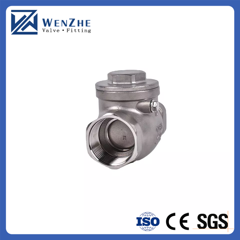 1 Inch Stainless Steel H14 Check Valve for Water Spring Swing and Air Control