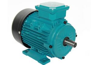 Quality IP55 ICO141 Cooling 22KW 30HP 3 Phase Induction Motor wholesale
