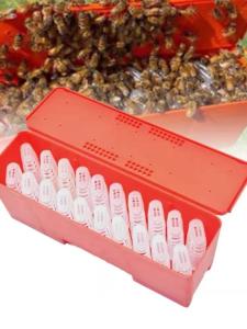 Quality Red Plastic Queen Bee Cage For Queen Bee Rearing System Beekeeping Queen Cage wholesale