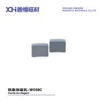 Hard Ferrite | Permanent Magnets Supplier Hard Ferrite For Universal Motor W058C